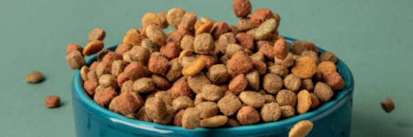 Pet food
